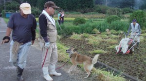 石ばし庵稲作の会