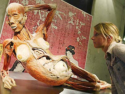 Plastination