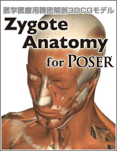 poser　Zygote Anatomy